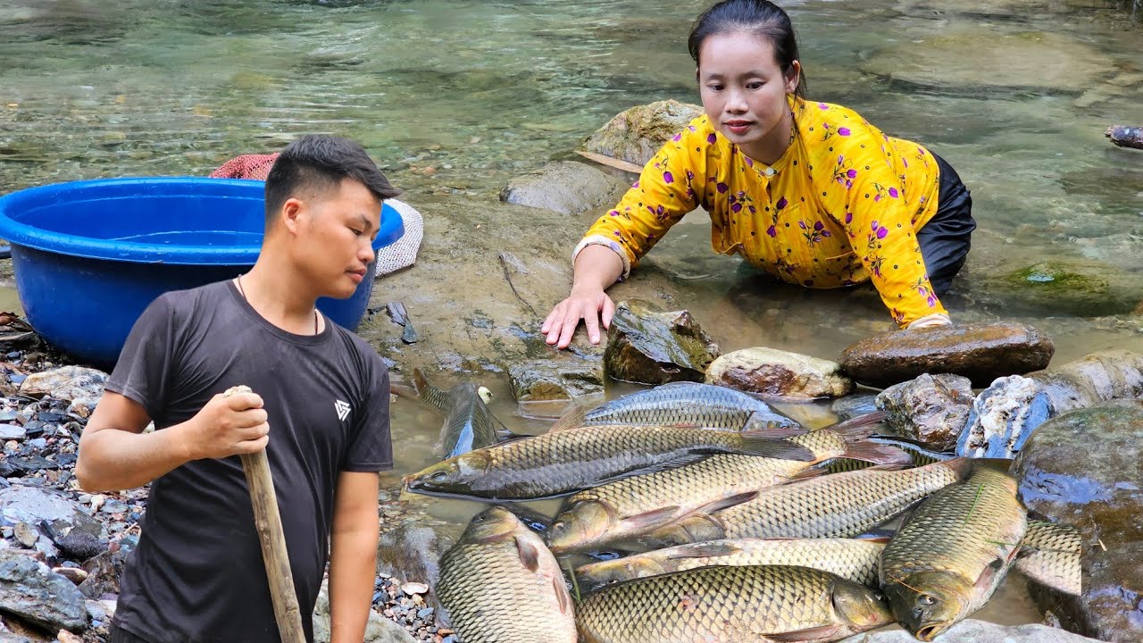 How to catch giant carp?