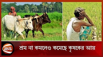 ৫-২০% আয় কমেছে কৃষকের | Farmer | Income | COVID Effect | Channel24 Business