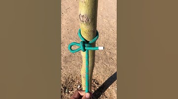 My Favorite Loop Knot With A Quick Release Bite 👌