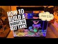 Build a Stunning 5G Reef Tank for Under $200: Step-by-Step Guide π