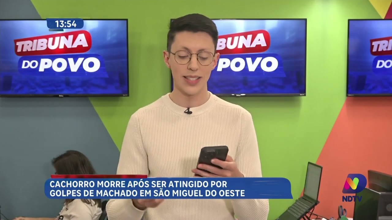 Cachorro morre após golpes de machado e mulher é presa em São Miguel do Oeste