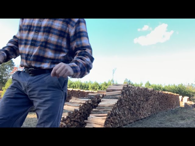 7 Things You Need to Know When Buying Firewood – Love Logs