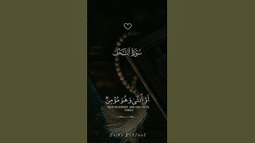 من عمل عملاً صالحاً الشيخ عبدالرحمن مسعد من سوره النحل  صوت يريح القلب حالات واتس قرآن كريم