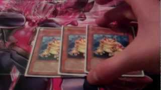 Understanding Swap Frog Froogy