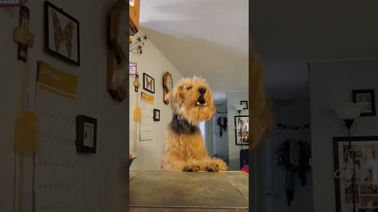 Don't talk to your mom like that!!! 