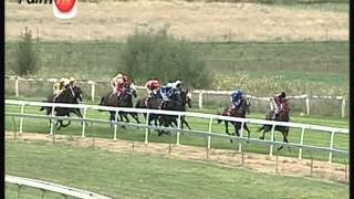 24.02.13Magical Talesbathurst 1400M