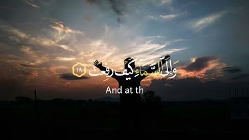 أفلا ينظرون إلى الإبل كيف خلقت القارئ خالد الجليل