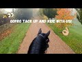 GoPro Tack up and ride with Gee & I!