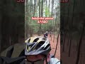 Cool pine tree trail #mtb