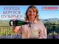 КАВА CAVA Часть 2 ОТКУДА ПУЗЫРЬКИ В ИГРИСТОМ ВИНЕ (В ШАМПАНСКОМ, В КАВЕ)