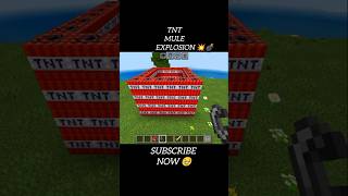 Minecraft TNT Mule Explosion 💥 #minecraft #trending #gaming #shorts