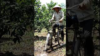 Amazing Bicycle-Powered Water Pump Jugaad! 🚲💧 Smart Farming Innovation #Shorts