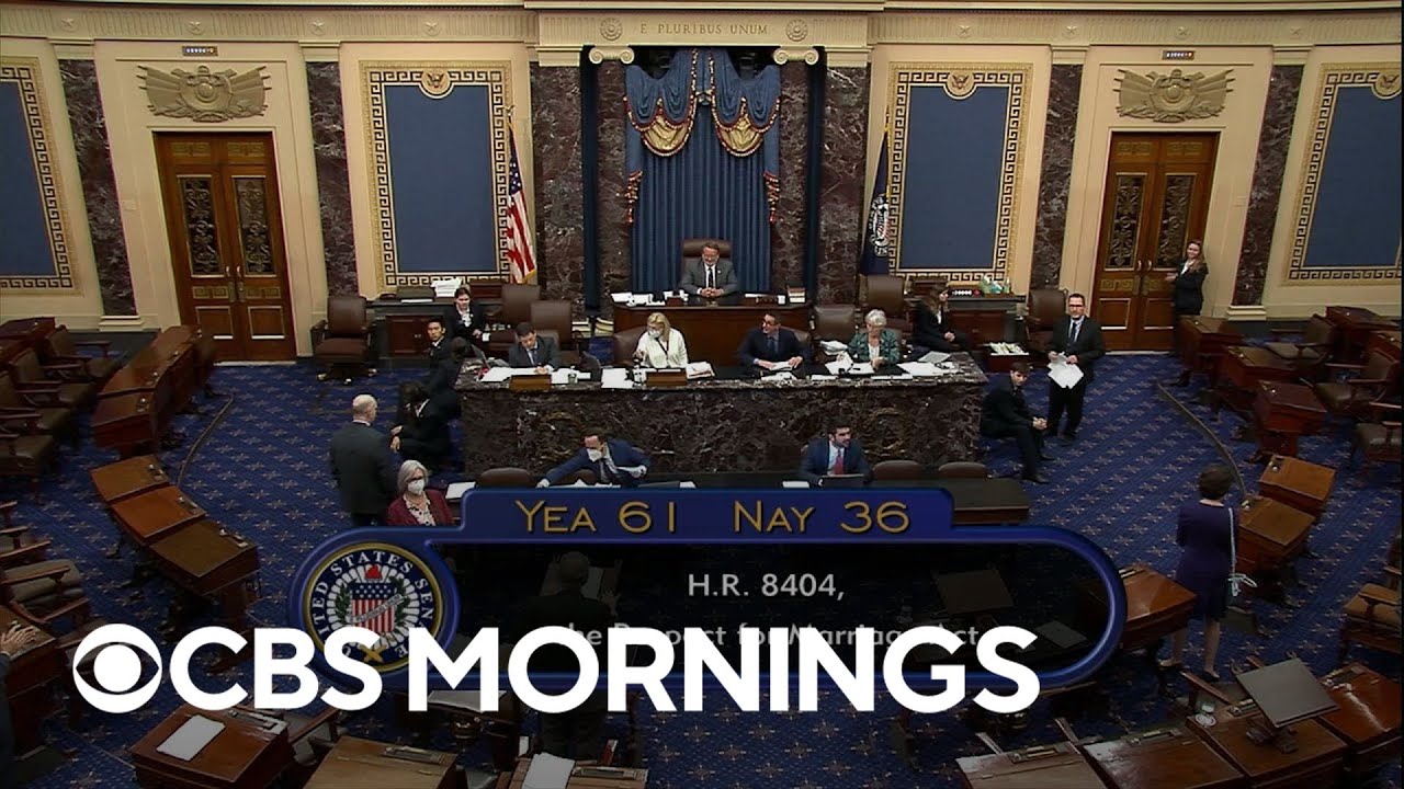 Senate passes bill to protect same-sex and interracial marriage - YouTube