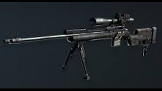 Gold USR Montage
