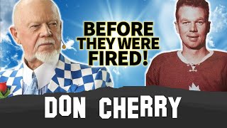 Celebrity Don Cherry | Before They Were Famous | Fired from Hockey Night In Canada Net Worth