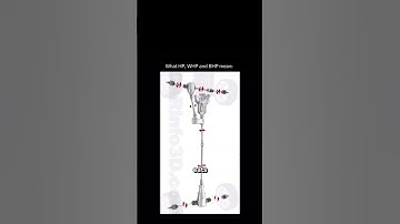 You know what HP, W-H-P and BHP mean regarding cars, HP or