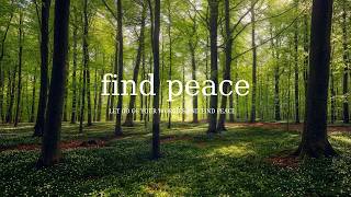 Let Go of Your Worries and Find Peace 🌲🍃 Soft Piano for Overthinking Minds screenshot 2
