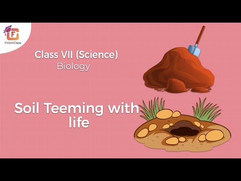 Soil Teeming With Life Class 7 NCERT Biology T 1 