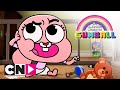 Niesamowity świat Gumballa | Słodka zła siostra | Cartoon Network