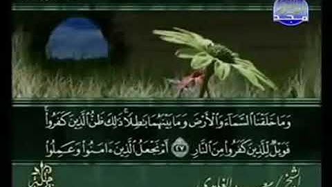 سورة ص من الآية 27 الى الآية 61