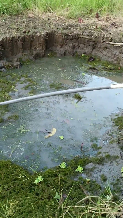 Penuh dengan lumpur‼️