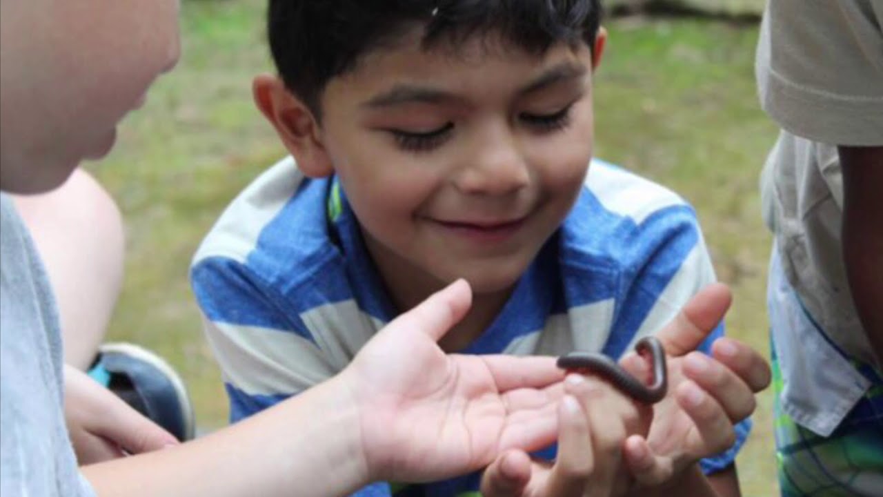 MOH's Natural Classroom Movie Trailer