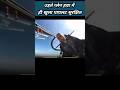 Aeroplane opens during flight | #news #breakingnews #latestnews #shortvideos #viralvideos