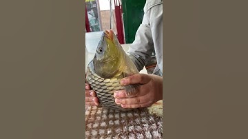 القران الكريم #اكسبلور #لايك