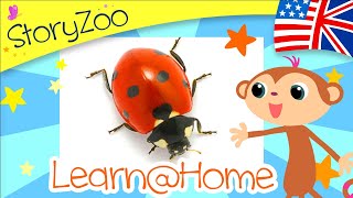 Learn English words • Insects • Learn@Home with Toby, Bax & Pepper