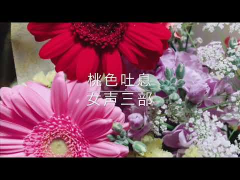 桃色吐息女声三部 Youtube