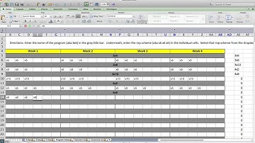 Custom Excel Template for Strength Coaches