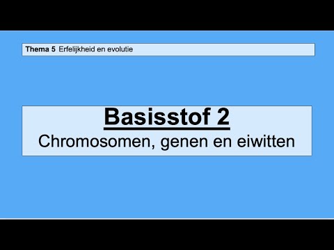 Video: Identificatie, Karakterisatie En Genexpressieanalyses Van Belangrijke Bloeiende Genen Gerelateerd Aan Fotoperiodieke Pathway In Bamboe