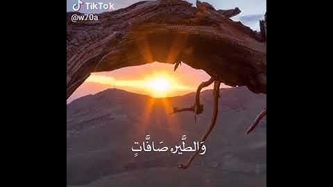 تلاوة خاشعة مزامير ال داوود