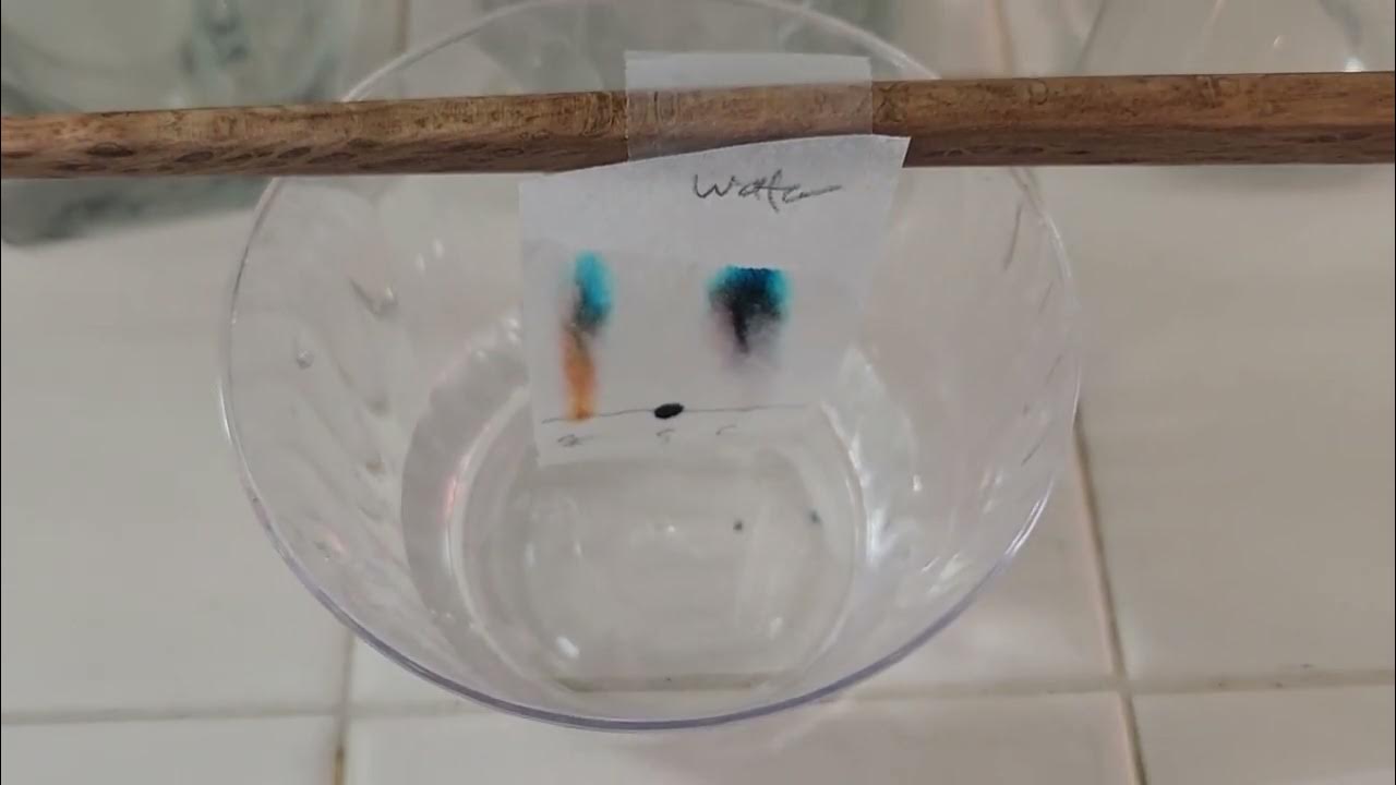 Ink Separation by Paper Chromatography Lab Demo YouTube