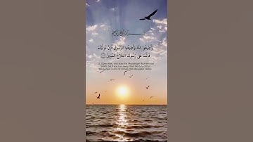 تلاوة هادئه #الشيخ رعد الكردي #أرح سمعك 🎧وقلبك💚