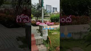 తిరుమల లో నామాల పార్క్ 🙏🏻🙏🏻#thirumala #devotional #shorts