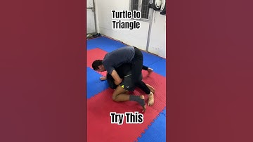 Systematically Attacking The Turtle-Turtle Position To Front Triangle #shorts #viral #short