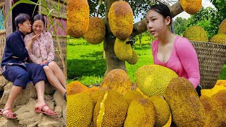 Download Lagu Harvesting Jackfruit to Sell at the Market - Cooking - Live with Nature | Hoang Thi Mai MP3 Download Lagu Harvesting Jackfruit to Sell at the Market - Cooking - Live with Nature | Hoang Thi Mai MP3