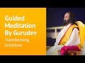 Transforming Emotions - Guided Meditation by Sri Sri Ravi Shankar