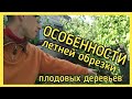 Как обрезать деревья ЛЕТОМ или ЛЕТНЯЯ ОБРЕЗКА деревьев плодовых. ЧАСТЬ 1