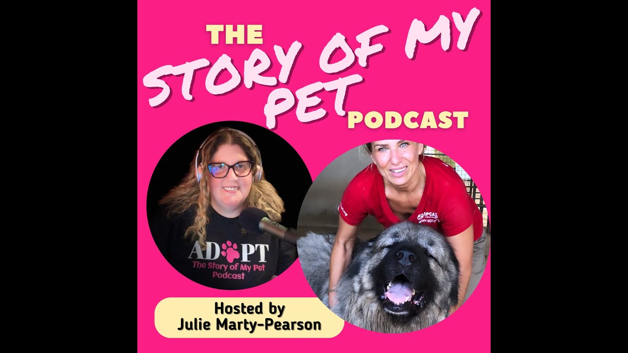 From War Zones to Forever Homes: Extraordinary Animal Rescue Missions with SPCA International |...