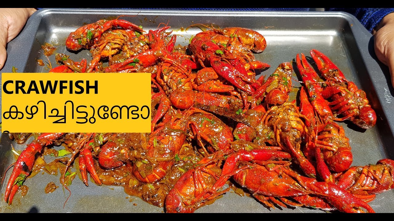 Cooking and eating of Live Crawfish in Kerala style - YouTube