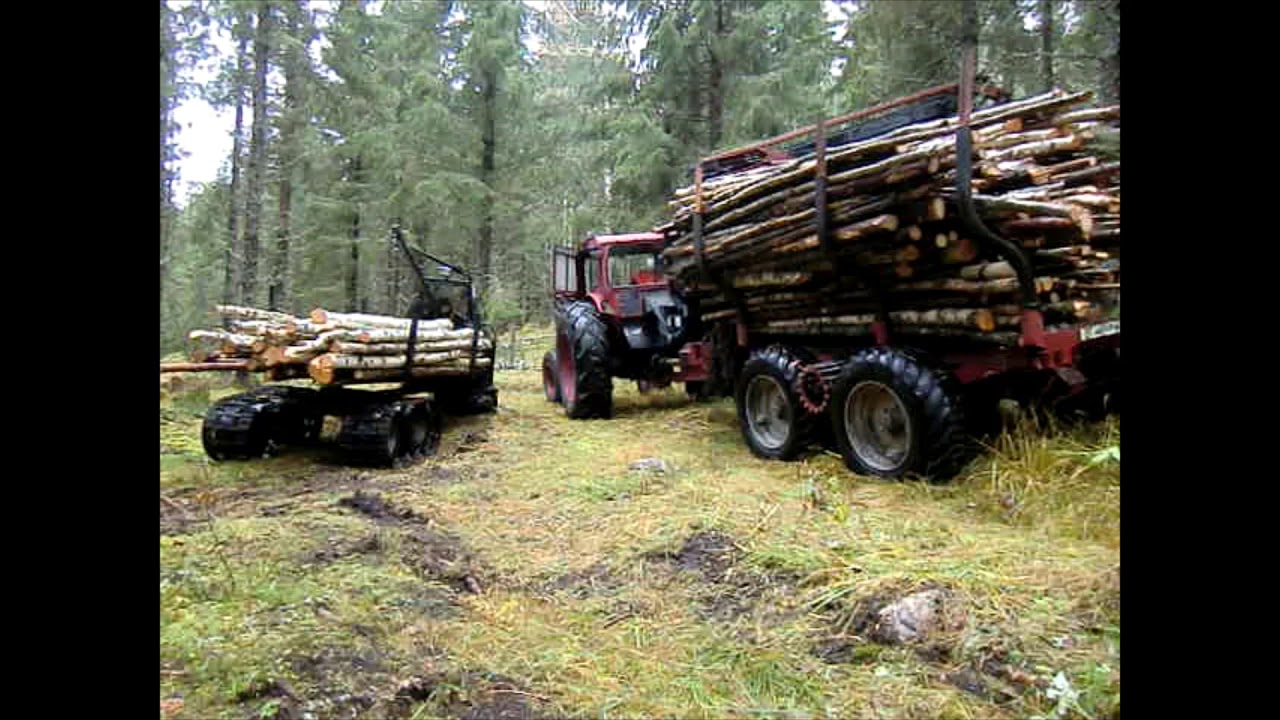 Skogis gallringsskotare