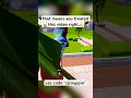 Did you get the NOTIFICATION…Use code cjsnappin❤️#fortnite #fortniteclips #gaming #fortniteshorts