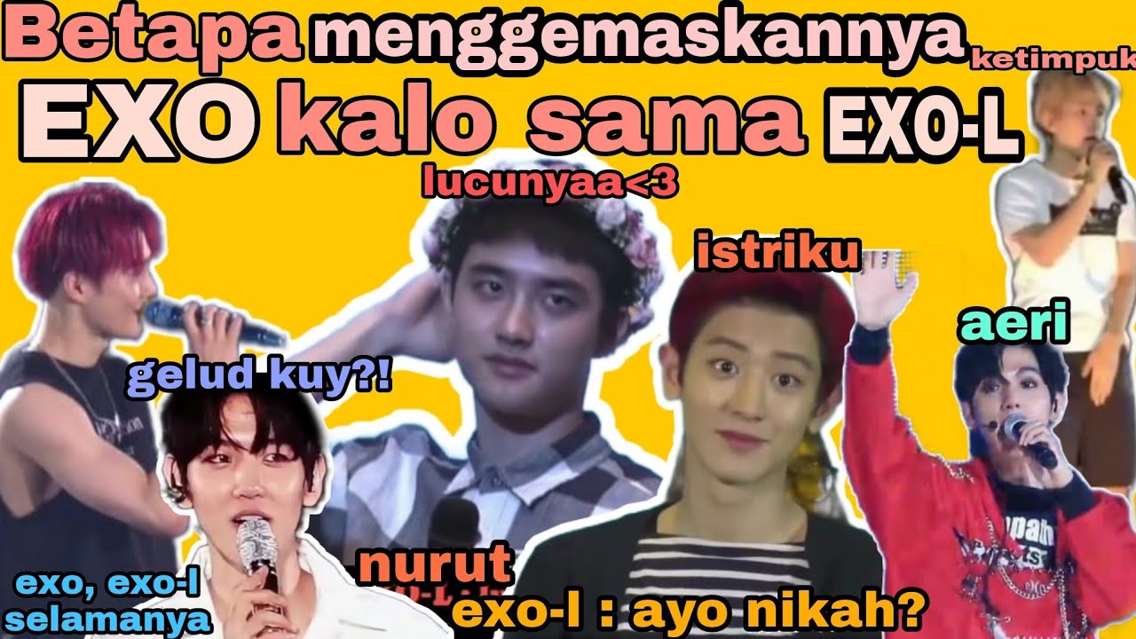 TINGKAH EXO KALO BARENG EXO-L - PART 2