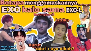 TINGKAH EXO KALO BARENG EXO-L - PART 2