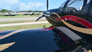 Rv-10 Stunning Paint Job Around The Grounds.