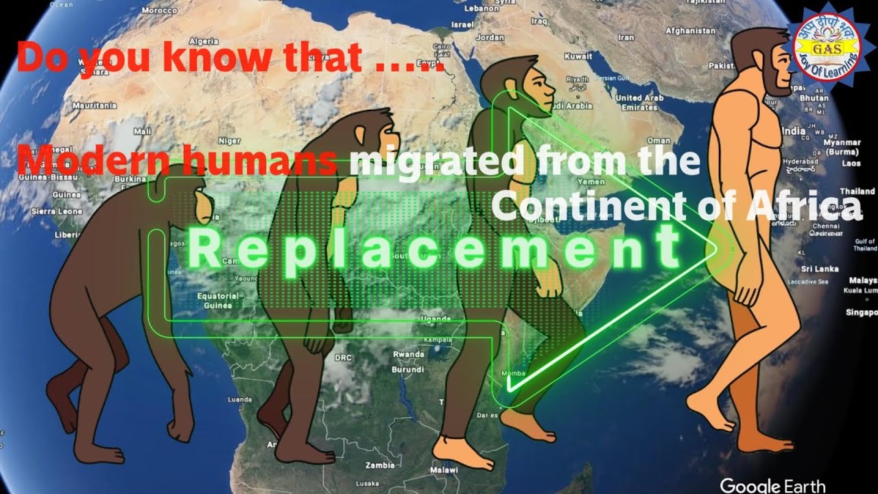 The Origin and Replacing Of Primates.