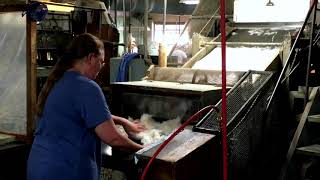 How Watson's Beaver Fur is Made