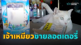 น่ารักเกินต้าน! "น้องมะรุม" แมวขายลอตเตอรี่ กระพริบตาเชียร์เลขเด็ด | อมรินทร์อัปเดต